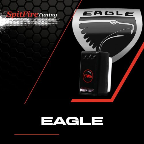 Eagle performance chips and fuel saver chips