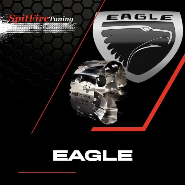 Eagle Performance Fuel Saver Intake Kit