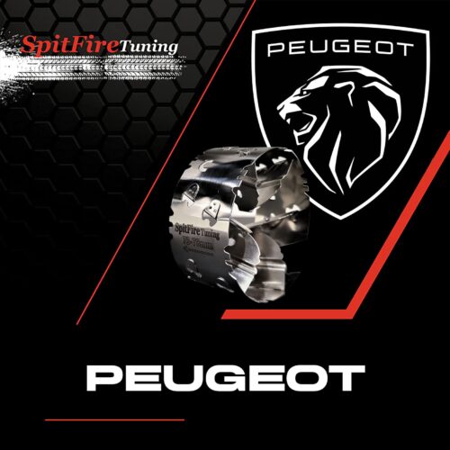 Peugeot Performance Fuel Saver Intake Kit